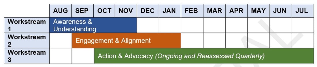 DEI Attack Strategy - Phased Approach